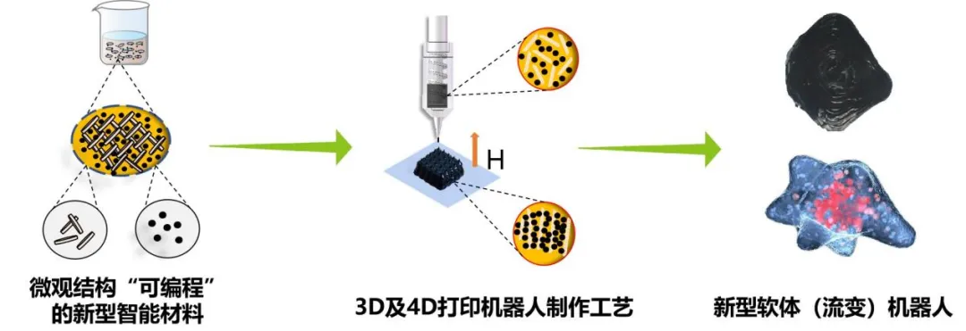 北交大磁控4D打印项目